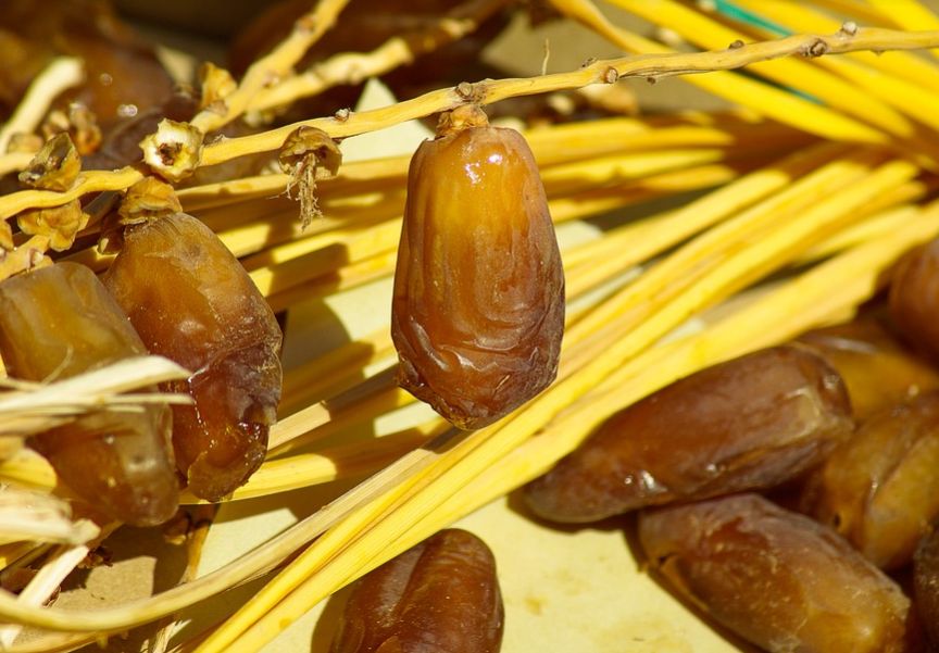 Kandungan Kalori 1 Buah Kurma